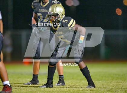 Thumbnail 1 in Hamilton vs Basha photogallery.