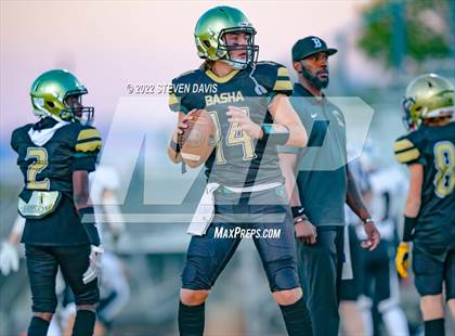 Thumbnail 3 in Hamilton vs Basha photogallery.