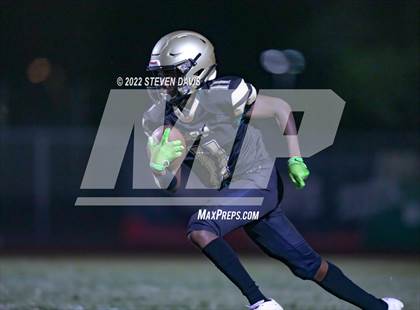Thumbnail 1 in Hamilton vs Basha photogallery.