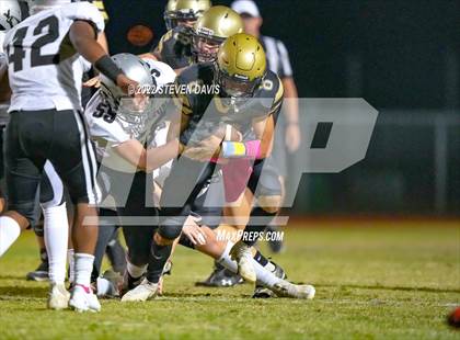 Thumbnail 2 in Hamilton vs Basha photogallery.