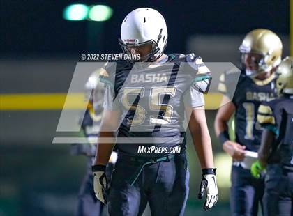Thumbnail 1 in Hamilton vs Basha photogallery.
