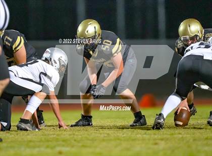 Thumbnail 1 in Hamilton vs Basha photogallery.