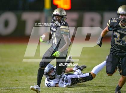 Thumbnail 1 in Hamilton vs Basha photogallery.