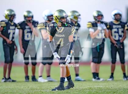 Thumbnail 3 in Hamilton vs Basha photogallery.