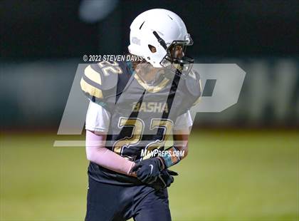 Thumbnail 2 in Hamilton vs Basha photogallery.