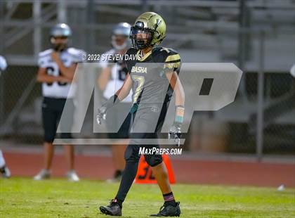 Thumbnail 1 in Hamilton vs Basha photogallery.