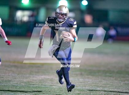 Thumbnail 1 in Hamilton vs Basha photogallery.