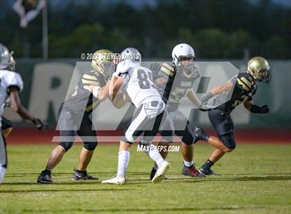 Thumbnail 1 in Hamilton vs Basha photogallery.