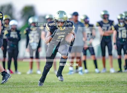 Thumbnail 1 in Hamilton vs Basha photogallery.