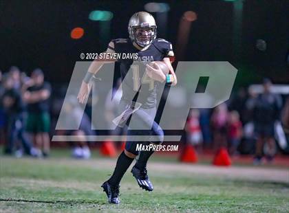 Thumbnail 3 in Hamilton vs Basha photogallery.