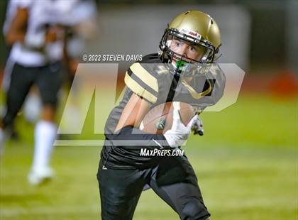 Thumbnail 3 in Hamilton vs Basha photogallery.