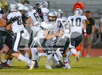 Thumbnail 1 in Hamilton vs Basha photogallery.