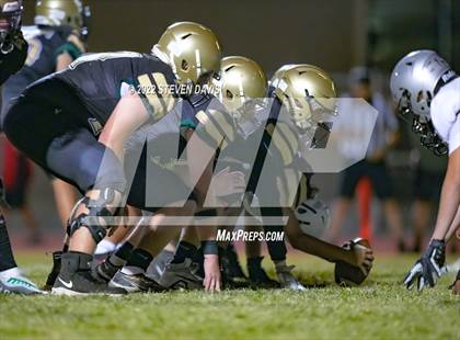 Thumbnail 3 in Hamilton vs Basha photogallery.
