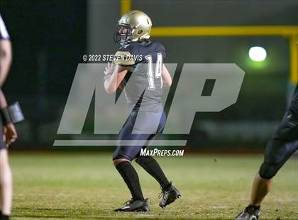 Thumbnail 2 in Hamilton vs Basha photogallery.