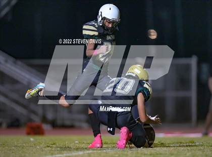 Thumbnail 1 in Hamilton vs Basha photogallery.