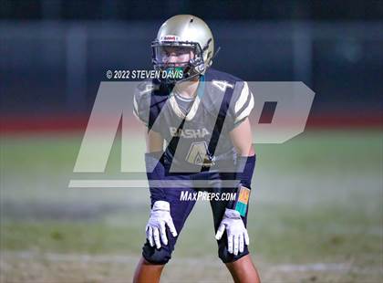 Thumbnail 1 in Hamilton vs Basha photogallery.