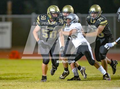 Thumbnail 1 in Hamilton vs Basha photogallery.