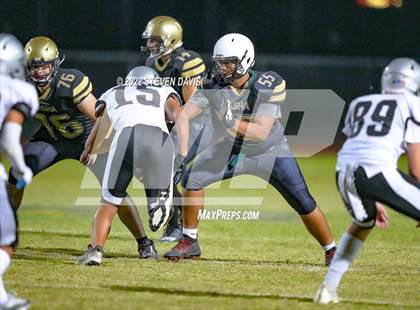 Thumbnail 1 in Hamilton vs Basha photogallery.