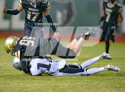 Thumbnail 1 in Hamilton vs Basha photogallery.