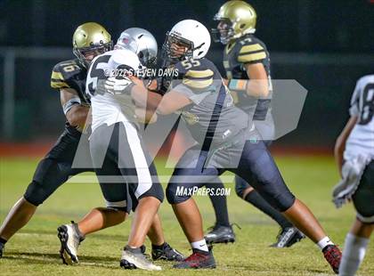 Thumbnail 2 in Hamilton vs Basha photogallery.