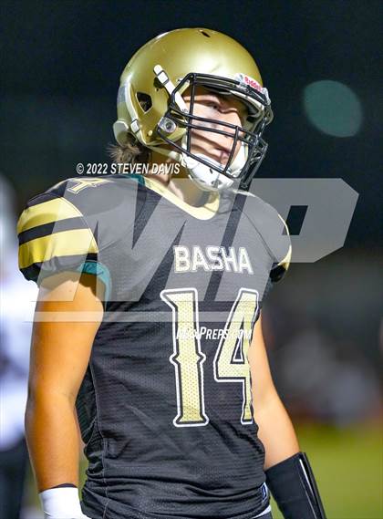 Thumbnail 1 in Hamilton vs Basha photogallery.