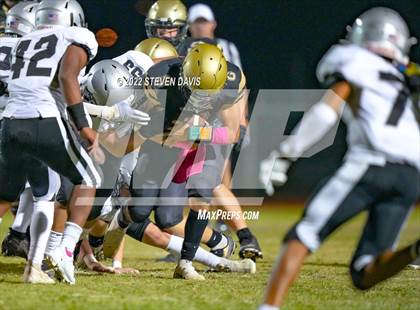 Thumbnail 3 in Hamilton vs Basha photogallery.