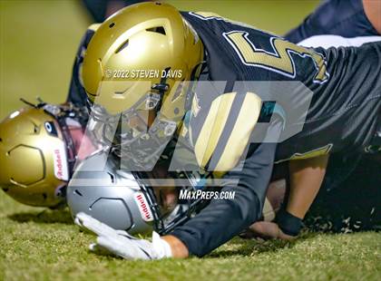 Thumbnail 1 in Hamilton vs Basha photogallery.