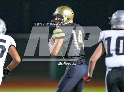 Thumbnail 3 in Hamilton vs Basha photogallery.