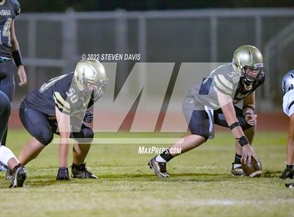 Thumbnail 2 in Hamilton vs Basha photogallery.