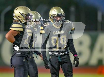 Thumbnail 2 in Hamilton vs Basha photogallery.