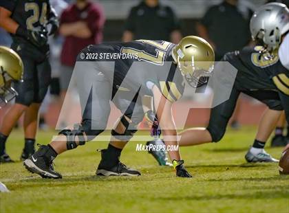 Thumbnail 3 in Hamilton vs Basha photogallery.