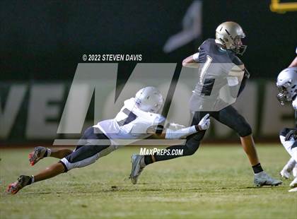 Thumbnail 3 in Hamilton vs Basha photogallery.