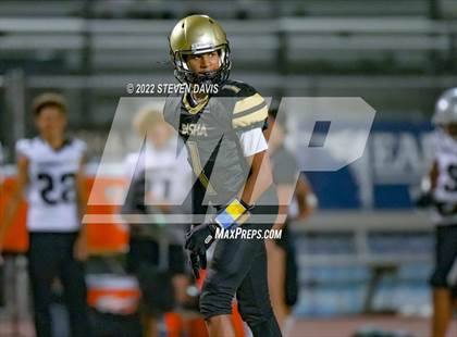 Thumbnail 3 in Hamilton vs Basha photogallery.
