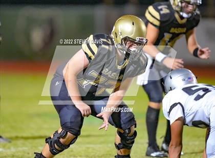 Thumbnail 1 in Hamilton vs Basha photogallery.