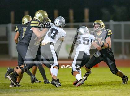 Thumbnail 3 in Hamilton vs Basha photogallery.
