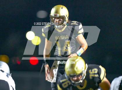Thumbnail 1 in Hamilton vs Basha photogallery.