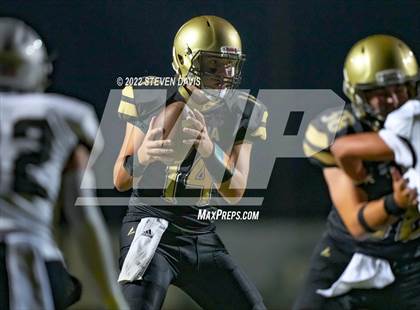 Thumbnail 2 in Hamilton vs Basha photogallery.