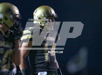 Thumbnail 3 in Hamilton vs Basha photogallery.