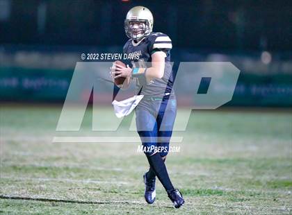 Thumbnail 1 in Hamilton vs Basha photogallery.