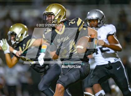 Thumbnail 3 in Hamilton vs Basha photogallery.