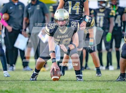 Thumbnail 2 in Hamilton vs Basha photogallery.