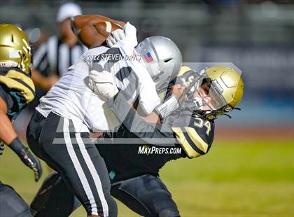 Thumbnail 2 in Hamilton vs Basha photogallery.