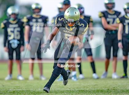 Thumbnail 3 in Hamilton vs Basha photogallery.