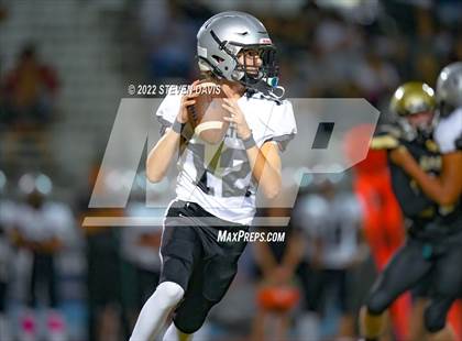 Thumbnail 3 in Hamilton vs Basha photogallery.