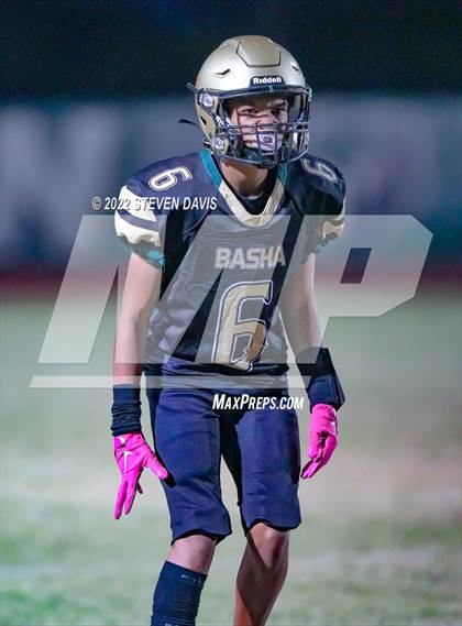 Thumbnail 2 in Hamilton vs Basha photogallery.