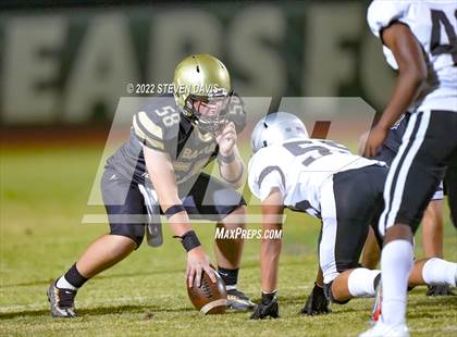 Thumbnail 2 in Hamilton vs Basha photogallery.