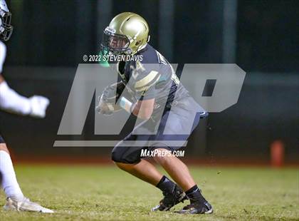 Thumbnail 2 in Hamilton vs Basha photogallery.