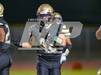 Thumbnail 1 in Hamilton vs Basha photogallery.