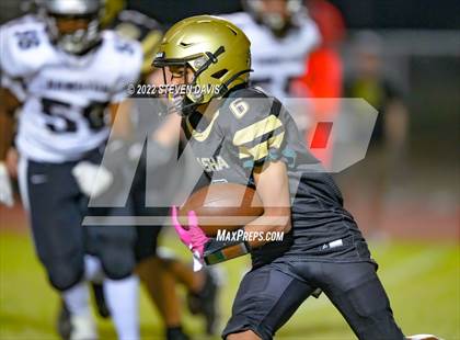 Thumbnail 1 in Hamilton vs Basha photogallery.