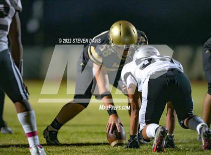 Thumbnail 2 in Hamilton vs Basha photogallery.